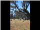 19 Chisholm Street, Tumbarumba NSW 2653