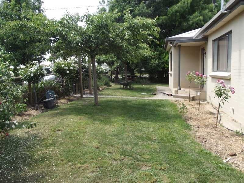 186 Batlow Road, Tumbarumba NSW 2653