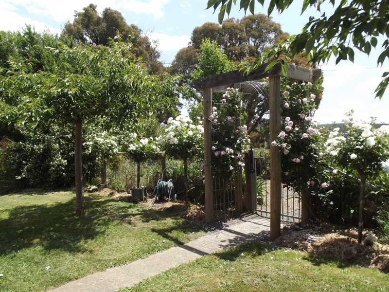 186 Batlow Road, Tumbarumba NSW 2653