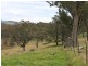 6 Mitchell Street, Tumbarumba NSW 2653