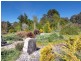 2150 Batlow Road, Tumbarumba NSW 2653