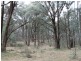 Lot 4 Moody’s Hill Road, Tumbarumba NSW 2653