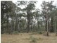 Lot 4 Moody’s Hill Road, Tumbarumba NSW 2653