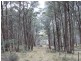 Lot 4 Moody’s Hill Road, Tumbarumba NSW 2653