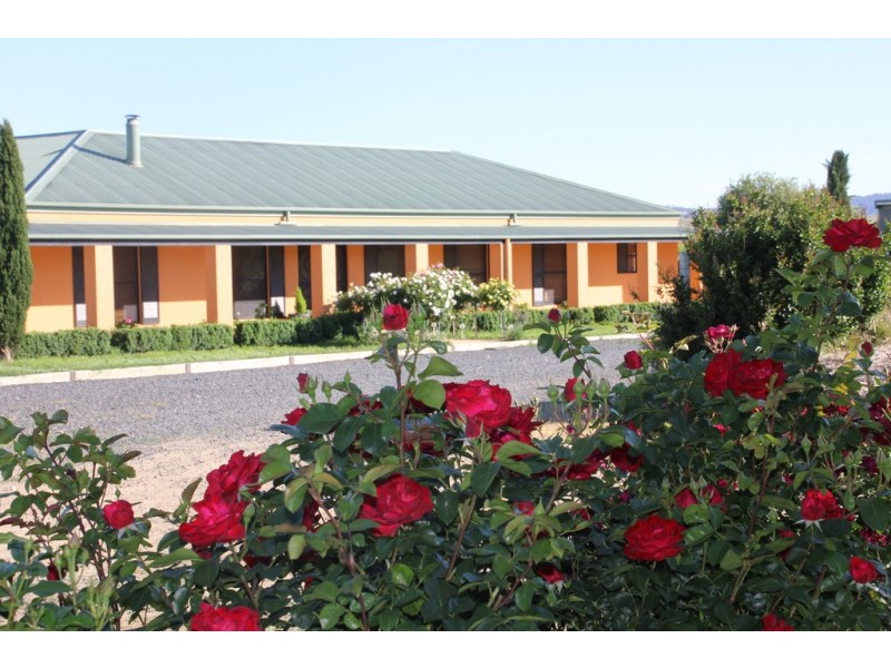 3446 Jingellic Road, Tumbarumba NSW 2653