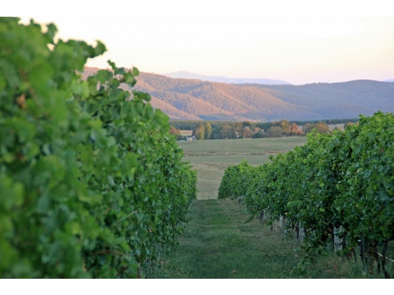 3446 Jingellic Road, Tumbarumba NSW 2653