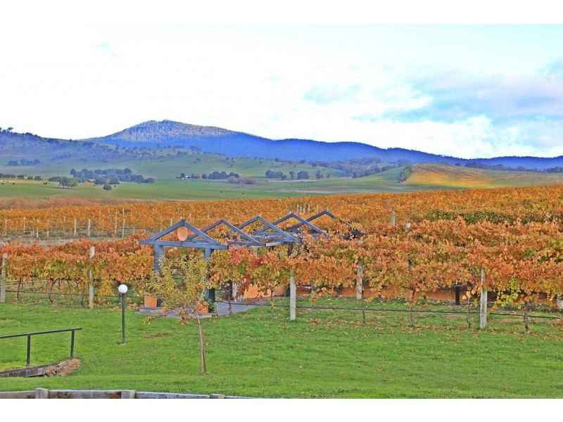 3446 Jingellic Road, Tumbarumba NSW 2653