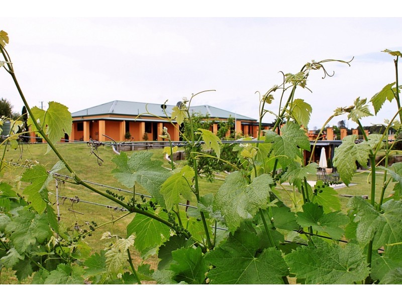 3446 Jingellic Road, Tumbarumba NSW 2653