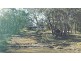 135 Elliott Way, Tumbarumba NSW 2653