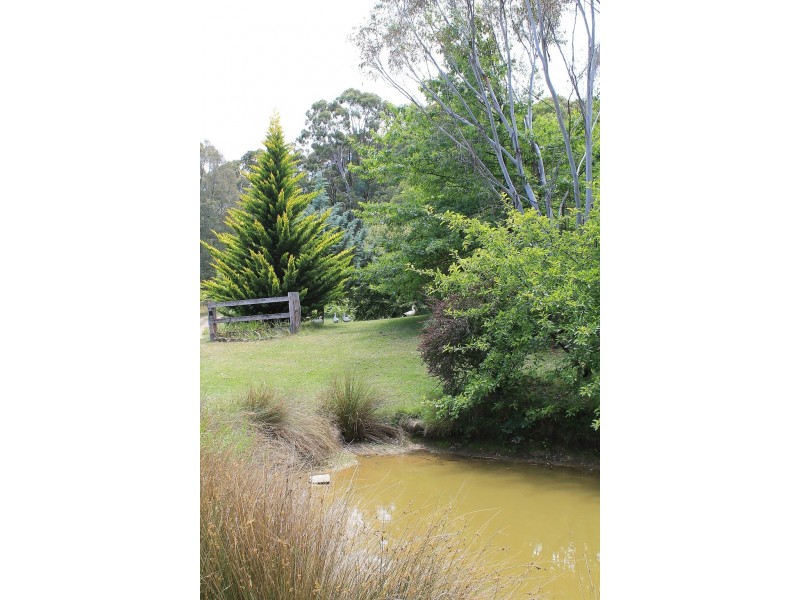 1535 Tooma Road, Tumbarumba NSW 2653