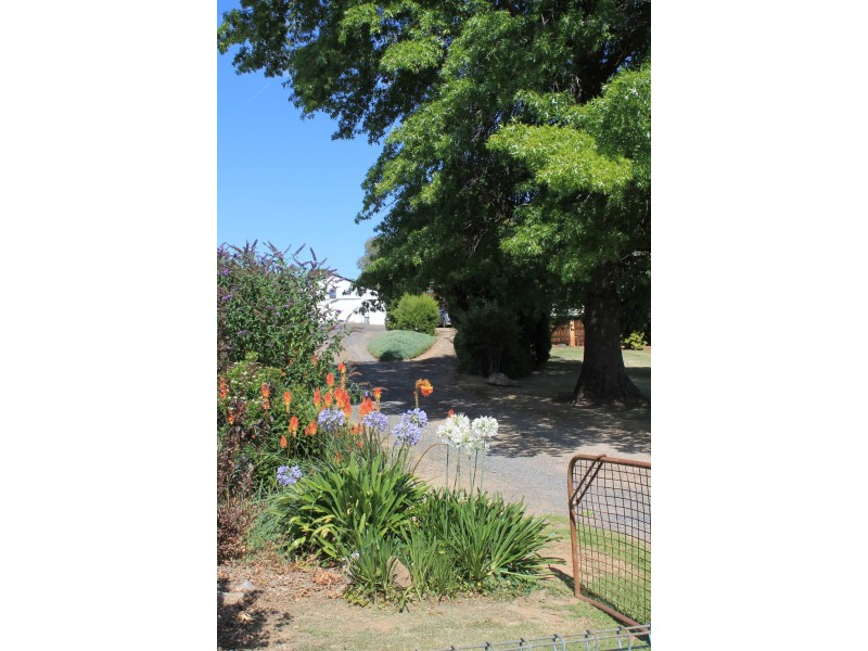 35 Bogong Street, Tumbarumba NSW 2653
