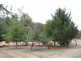 892 Courabyra Road, Tumbarumba NSW 2653