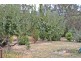 892 Courabyra Road, Tumbarumba NSW 2653