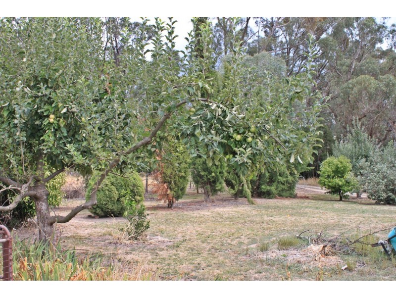 892 Courabyra Road, Tumbarumba NSW 2653