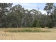 892 Courabyra Road, Tumbarumba NSW 2653