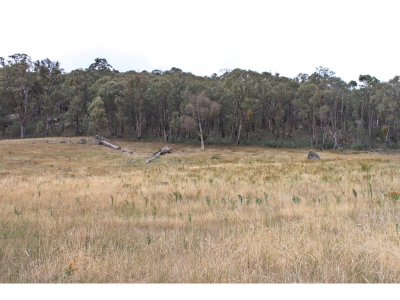 892 Courabyra Road, Tumbarumba NSW 2653