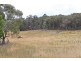 892 Courabyra Road, Tumbarumba NSW 2653