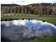 1236 Tooma Road, Tumbarumba NSW 2653