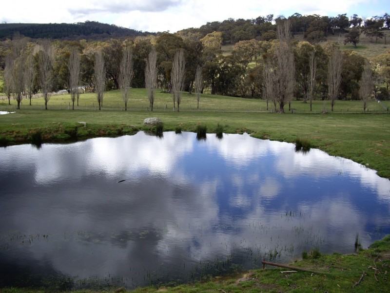 1236 Tooma Road, Tumbarumba NSW 2653