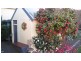 1236 Tooma Road, Tumbarumba NSW 2653