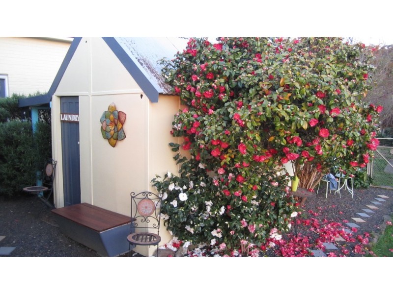 1236 Tooma Road, Tumbarumba NSW 2653