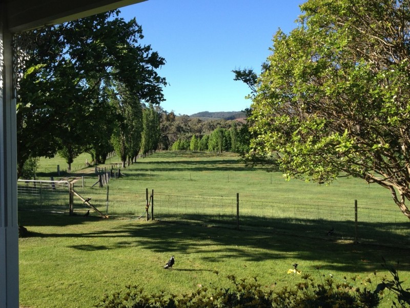 1236 Tooma Road, Tumbarumba NSW 2653