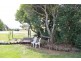 48 Clara Street, Tumbarumba NSW 2653