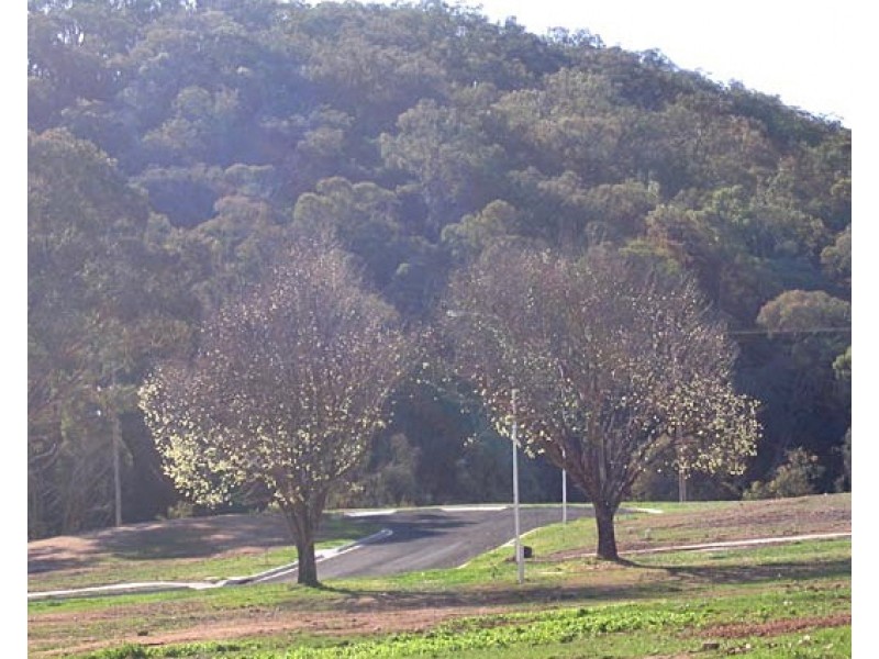 Lots 1 – 56 Khancoban Alpine Estate, Khancoban NSW 2642