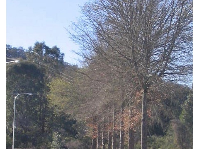 Lots 1 – 56 Khancoban Alpine Estate, Khancoban NSW 2642