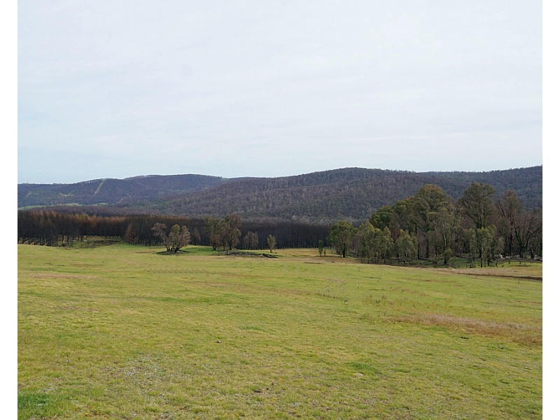 Lot 2 MOODYS HILL ROAD, Tumbarumba NSW 2653