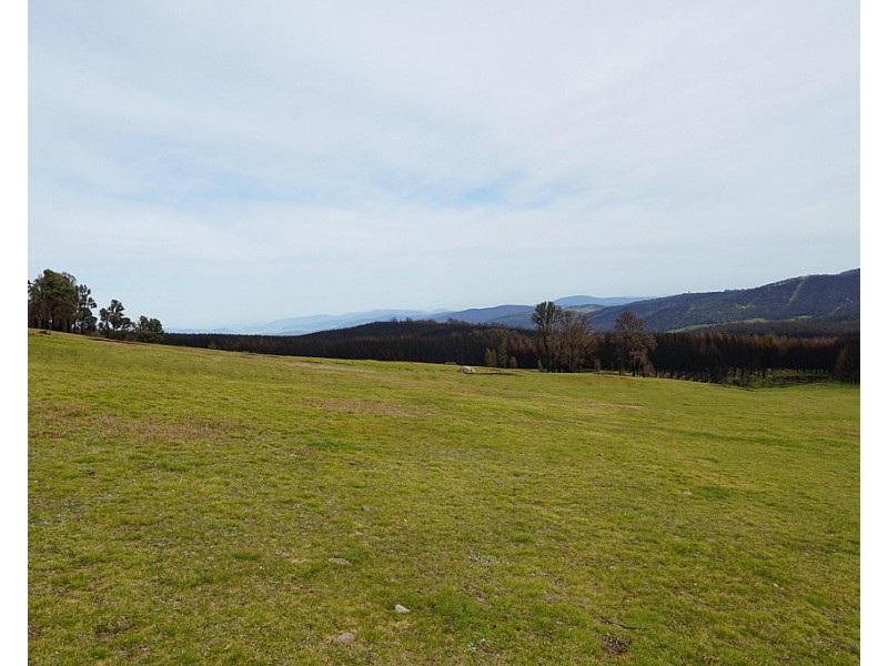 Lot 2 MOODYS HILL ROAD, Tumbarumba NSW 2653