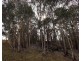 Lot 2 MOODYS HILL ROAD, Tumbarumba NSW 2653