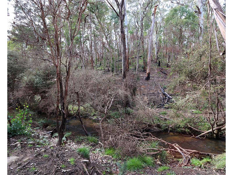 Lot 2 MOODYS HILL ROAD, Tumbarumba NSW 2653