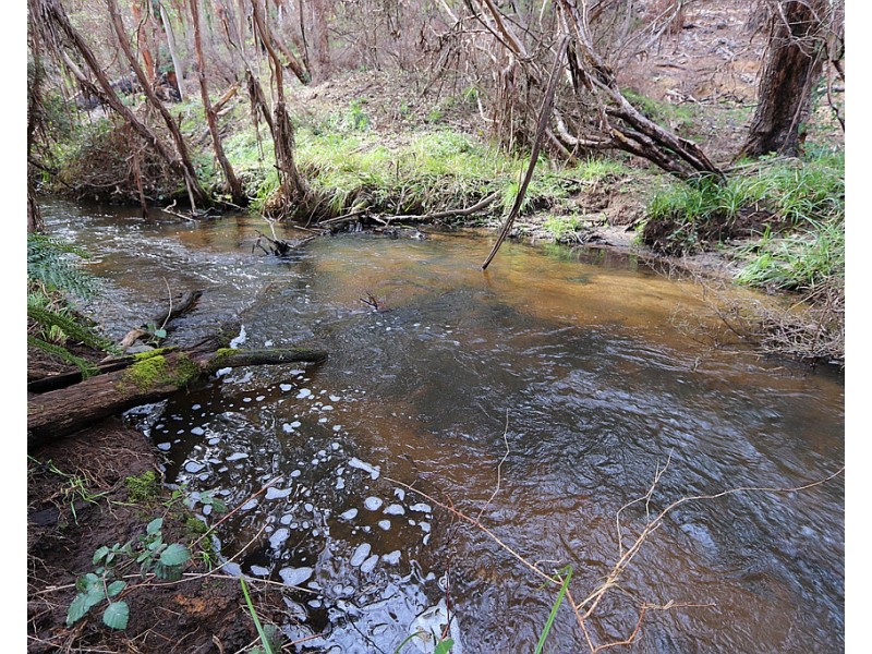 Lot 2 MOODYS HILL ROAD, Tumbarumba NSW 2653