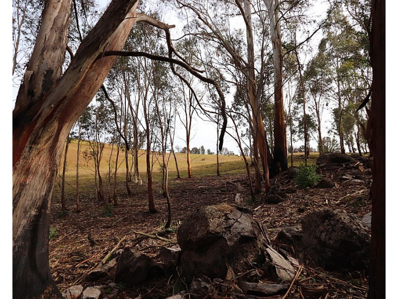 Lot 2 MOODYS HILL ROAD, Tumbarumba NSW 2653