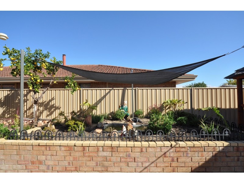 42 Verbena Cr, Dianella WA 6059