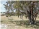 52 Jambanis Road, Wanneroo WA 6065