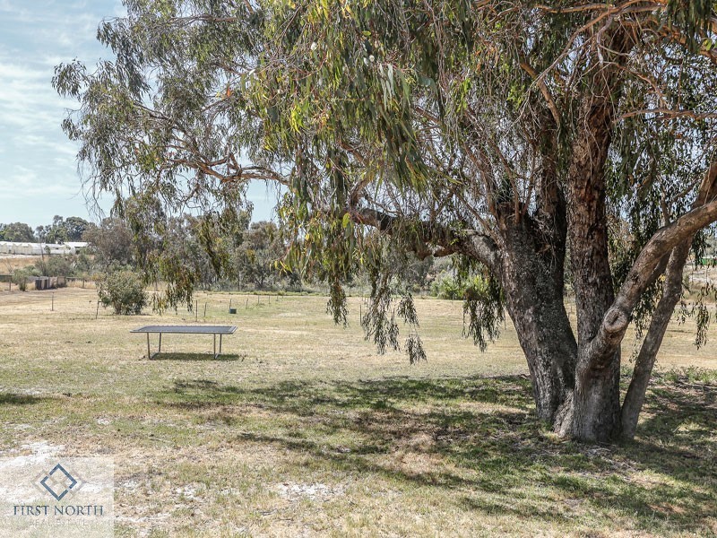 52 Jambanis Road, Wanneroo WA 6065