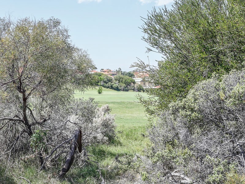 17 Highcliffe Rise, Currambine WA 6028