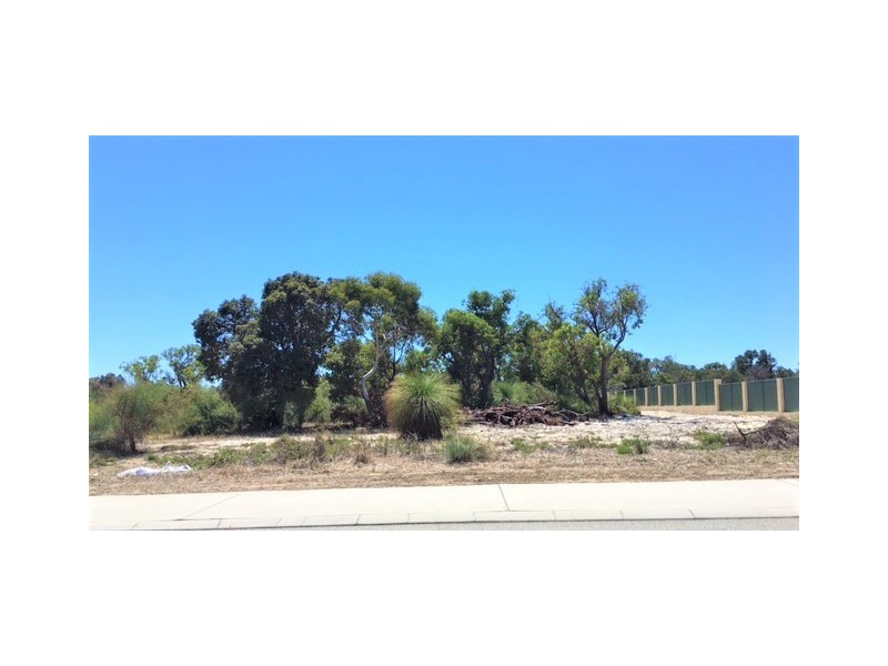 145 Golf Links Drive, Carramar WA 6031