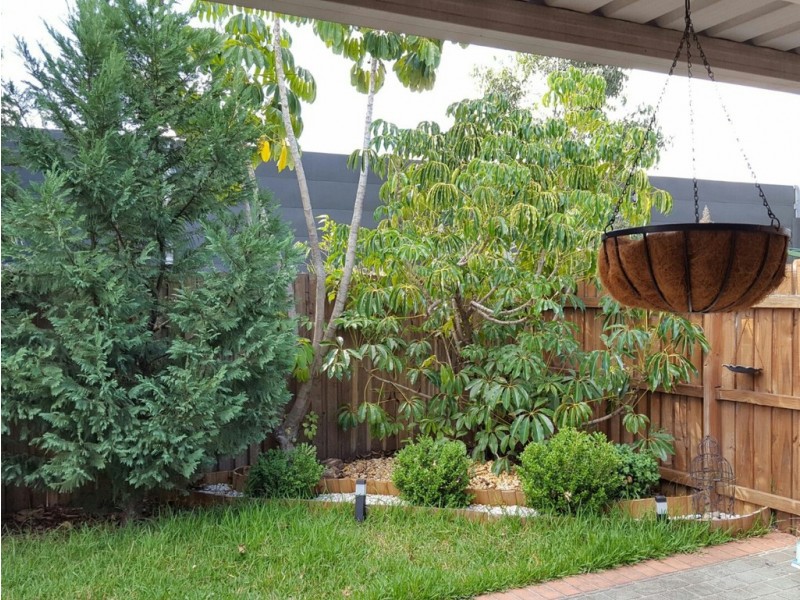 31 Wombeyan Court, Wattle Grove NSW 2173