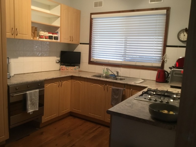 17 Birdwood Avenue, Wattle Grove NSW 2173