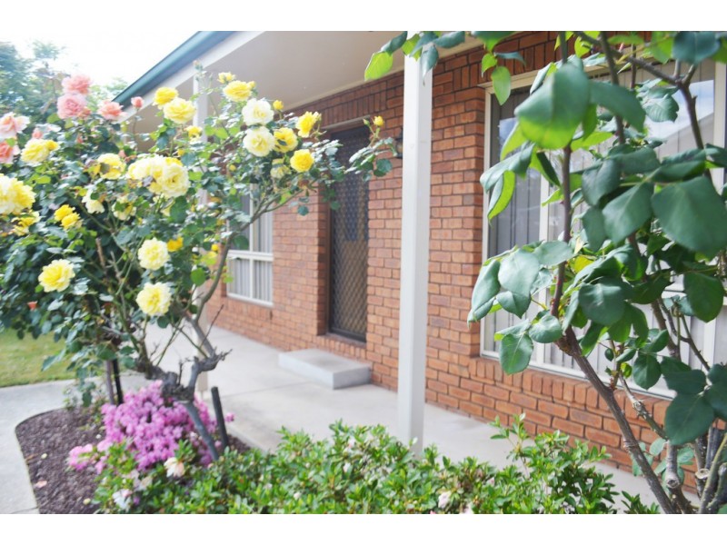 2/419 Prune Street, Lavington NSW 2641
