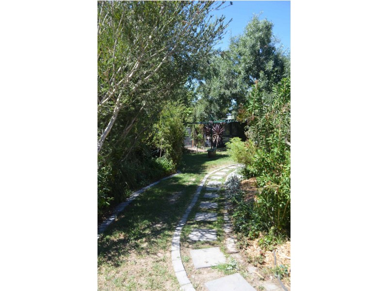 565 Brown Place, Lavington NSW 2641