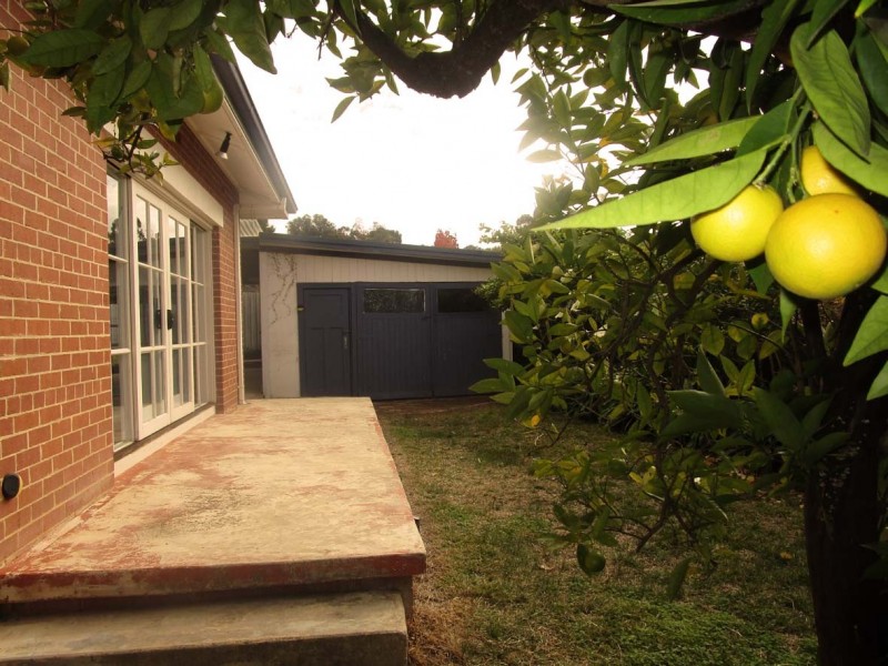 553 Small Street, Albury NSW 2640