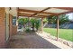5 Sundew Court, Thurgoona NSW 2640