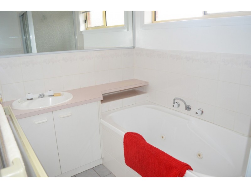 3/558 Webb Street, Lavington NSW 2641