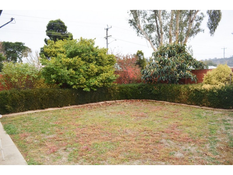 3/558 Webb Street, Lavington NSW 2641