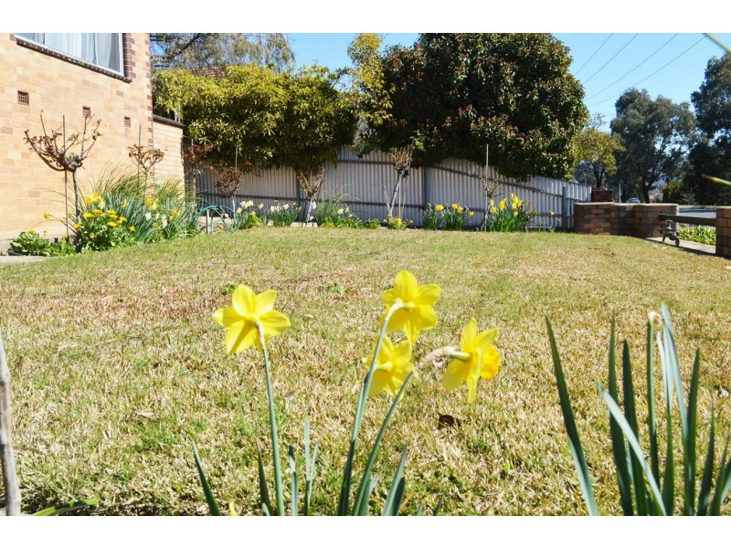 1/279 Borella Road, East Albury NSW 2640