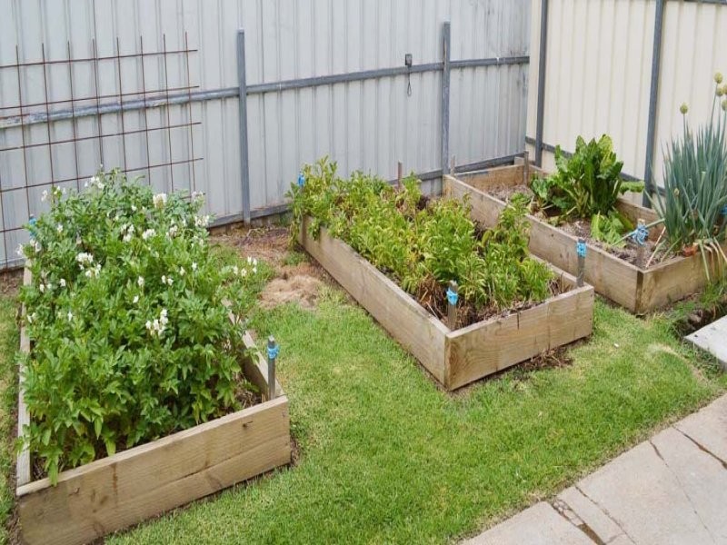 446 Belle Street, Lavington NSW 2641